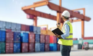 Zollabfertigung mit Kontrolle von Containern im Hafen