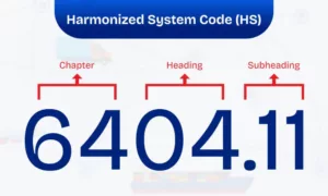 Aufbau des HS-Codes mit sechs Ziffern und Beispielstruktur